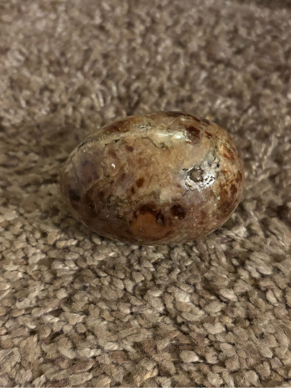 Egg